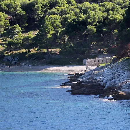 Apartament Studio Vis 2476b *
